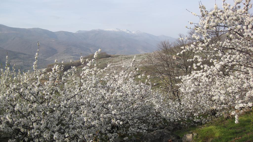 Hostal Yuste Garganta la Olla Bagian luar foto
